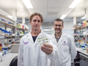 Dr Chris Brosnan and Dr Don Gardiner in the University of Queensland (UQ) laboratory (Image: Megan-Pope, UQ)