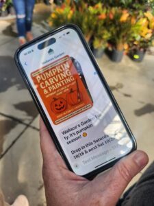 A targeted SMS promotion for a pumpkin-carving event shows how garden centres can use AI-driven marketing platforms to send timely, personalised messages directly to customers’ phones (Image: Supplied by the authors)
