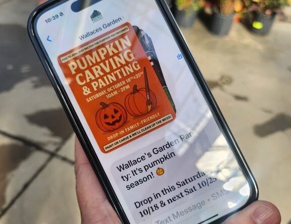 A targeted SMS promotion for a pumpkin-carving event shows how garden centres can use AI-driven marketing platforms to send timely, personalised messages directly to customers’ phones (Image: Supplied by the authors)
