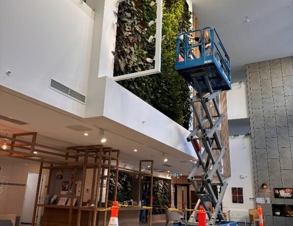 This green wall is in the foyer of the Mercy Health Aged Care Centre (Image: Evergreen Infrastructure)