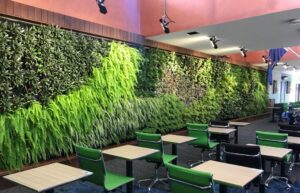 Catholic Regional College Sydenham invested in this green wall to ensure students sitting exams felt relaxed while surrounded by plants (Image: Evergreen Infrastructure)