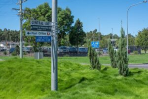Sir Grange Zoysia fully established on Pioneer Drive Roundabout in Oak Flats, NSW (Image source: Lawn Solutions Australia