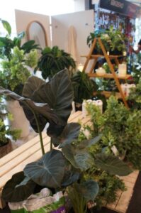 The ‘Wellness’ display (Image: John Fitzsimmons)