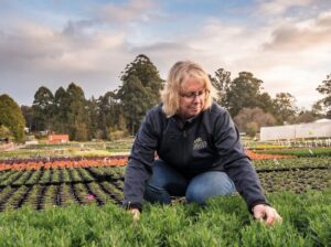 Sonja Cameron from Cameron’s Nursery whose staff are receiving biosecurity training through the GrowConnex extension program (Image: Greenlife Industry Australia)