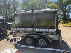 PhytoGuardTM in action