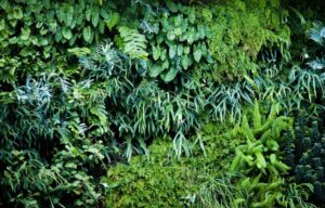 Fractal Buffering Methods help reduce plant stress, pest, disease and wind damage, allowing this green wall to require less than 5% plant replacements per year (Image: Erik van Zuilekom)