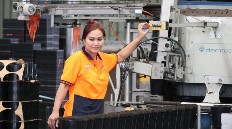 Anna Yodkiri, Production Manager (Image: Oasis Horticulture)