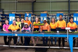 Anna Yodkiri (third from right) with members of her production team (Image: Oasis Horticulture)