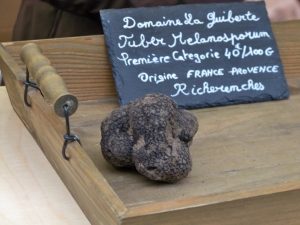 The black truffle, Tuber melanosporum (Image: Véronique Pagnier via Wikimedia Commons, CC BY-SA 3.0)