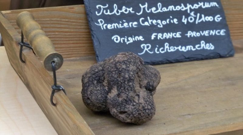 The black truffle, Tuber melanosporum (Image: Véronique Pagnier via Wikimedia Commons, CC BY-SA 3.0)