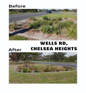 The Wells Rd, Chelsea Heights garden bed before and after the raingarden installation (Image: City of Kingston)