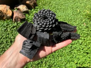 Pyrolysed organic materials, including hardwood and softwood timber, pinecones and Flindersia australis (crows ash) seed pods, converted to stabilised carbon with no ash residue, demonstrate the structural preservation achieved through proper pyrolysis (Image: Erik van Zuilekom)