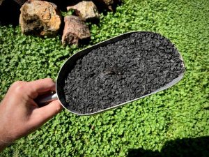High-quality, crushed, sieved, nutrient-charged and biologically inoculated pecan nut biochar, ready for use in soils or potting mixes (Image: Erik van Zuilekom)