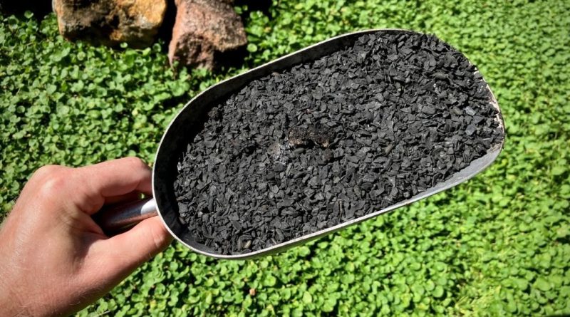 High-quality, crushed, sieved, nutrient-charged and biologically inoculated pecan nut biochar, ready for use in soils or potting mixes (Image: Erik van Zuilekom)