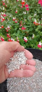 Nitrogen from urea is a primary ingredient of granular controlled and slow-release fertilisers