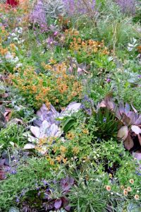 The very colourful ‘Plant Futures: The Future in Bloom’ display (Image: Ludovic Vilbert, Inwardout Studio)