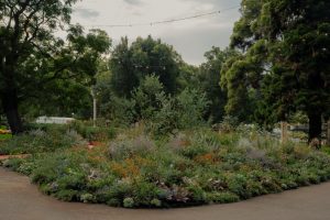 Super Bloom’s ‘Plant Futures: The Future in Bloom’ garden at Melbourne International Flower and Garden Show 2026 (Image: Sarah Pannell)