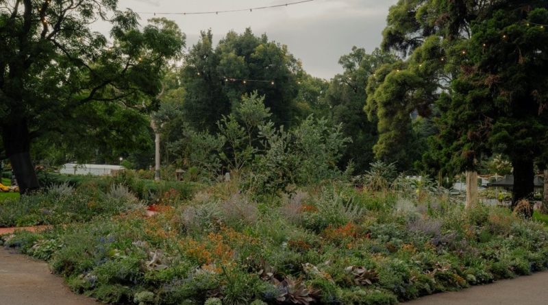 Super Bloom’s ‘Plant Futures: The Future in Bloom’ garden at Melbourne International Flower and Garden Show 2026 (Image: Sarah Pannell)