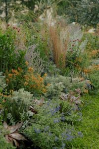 A garden designed to evolve; dynamic, immersive and ever-changing (Image: Sarah Pannell)
