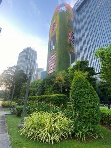 This successful project located in Tanjong Pagar, Singapore, highlights where successful greening of buildings can have the best outcomes (Image: Michael Casey, Evergreen Infrastructure)