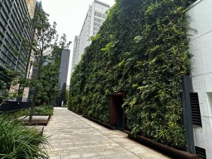 This green wall is a fantastic use of vertical space in this business precinct within Regent’s Place in London (Image: Michael Casey, Evergreen Infrastructure)