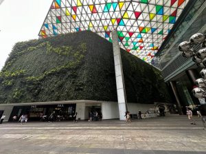 Located in Raffles Place in Singapore, this green wall visualises the world map, sending a strong message about greening the world (Image: Michael Casey, Evergreen Infrastructure)