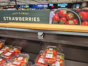 Anticipation signage at Marks and Spencer’s Selby store in North Yorkshire, England (Image: Supplied by the authors)