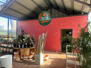 Before (left) and after (right) pictures of a Dawson’s Garden World store in Perth, Western Australia, after team member Amy updated its look (Images: Supplied by the authors)