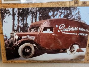 Bill Poynton in his iconic delivery van in the early days of the nursery (Image: Courtesy of Poyntons of Essendon and Lisa McCann, GCA)