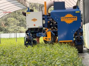 Harts Nursery developed a second-generation mechanical pruning system that trims plants in place, reduces manual handling and supports more efficient large-scale production