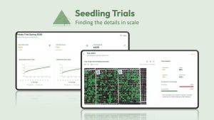 With Track 32’s Seedling Trials, seedling counts are performed at individual seedling level, enabling highly detailed analysis of growth development and usability within a trial (Image: Track32)