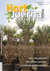 Gabe Mostafa and Karen Smith were so inspired by these crepe myrtles they saw in China that they ended up on the June 2018 cover of Hort Journal Australia. (Image: Hort Journal Australia)